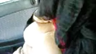 Stiilne tibud hahal perdolit perse kuradi