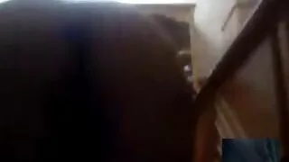 Võrgutav tüdruk fucks tema tuss