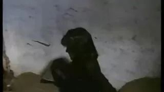 Uimane Kuradi sex machine rahul busty