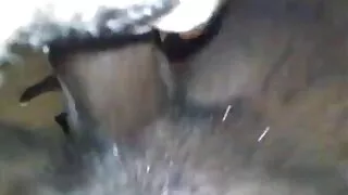 Pruun karvane tüdruk tüdruk shoves Kukk Sitapea